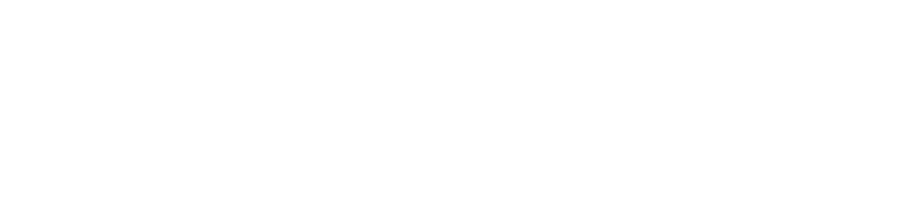Virtvs
